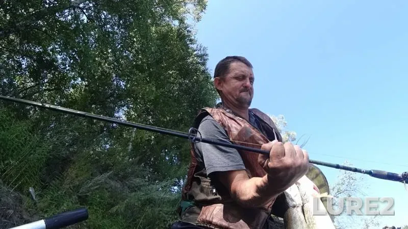 Окунь, Щука