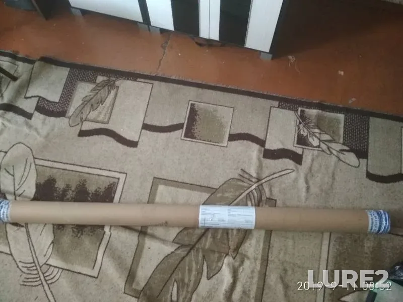 Щука