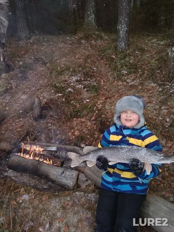 Щука