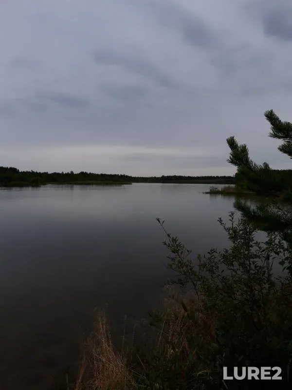 Окунь