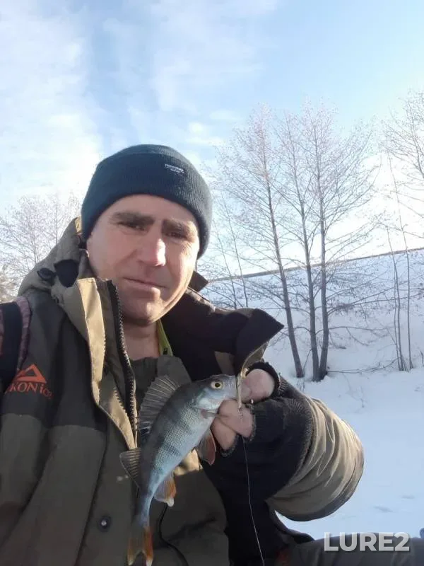Окунь