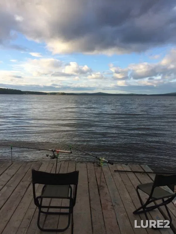 Лещ, Окунь
