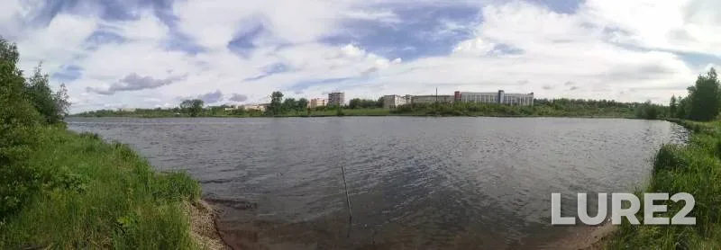 Окунь