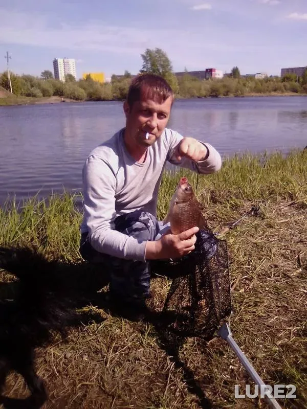 Карась