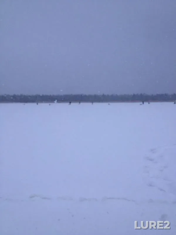 Окунь — Новоладожский канал, 12 янв. 2014 г.