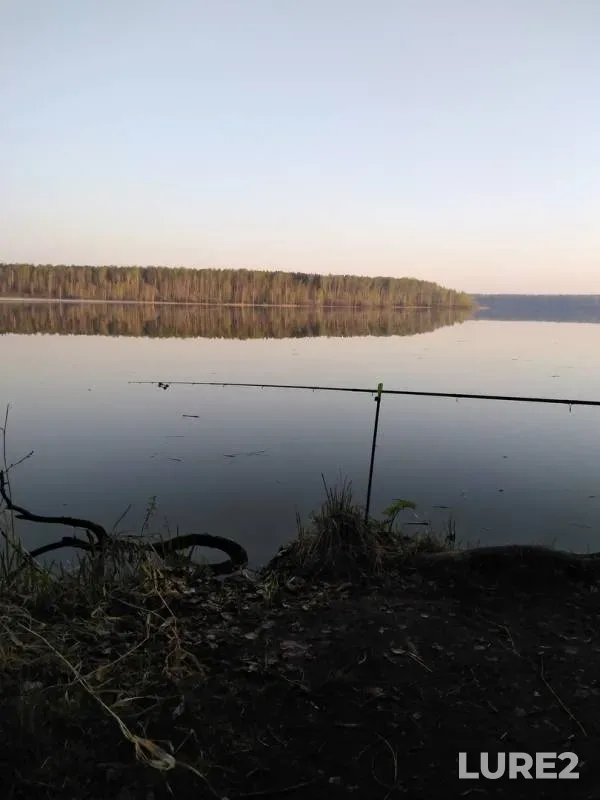 Лещ