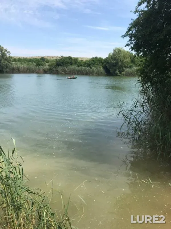 Уклейка, Окунь