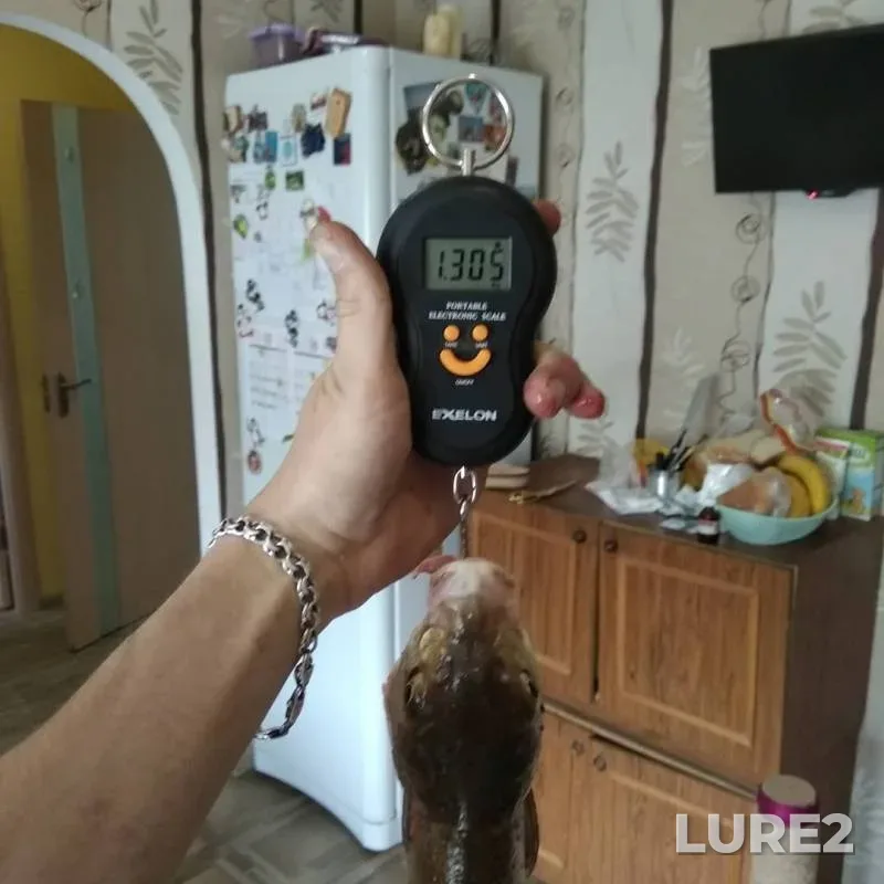 Лещ