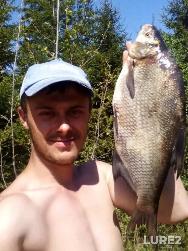 Карась