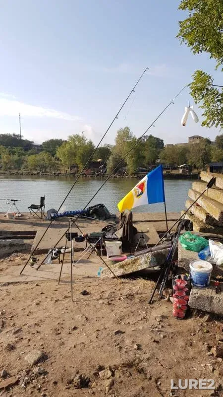Карп