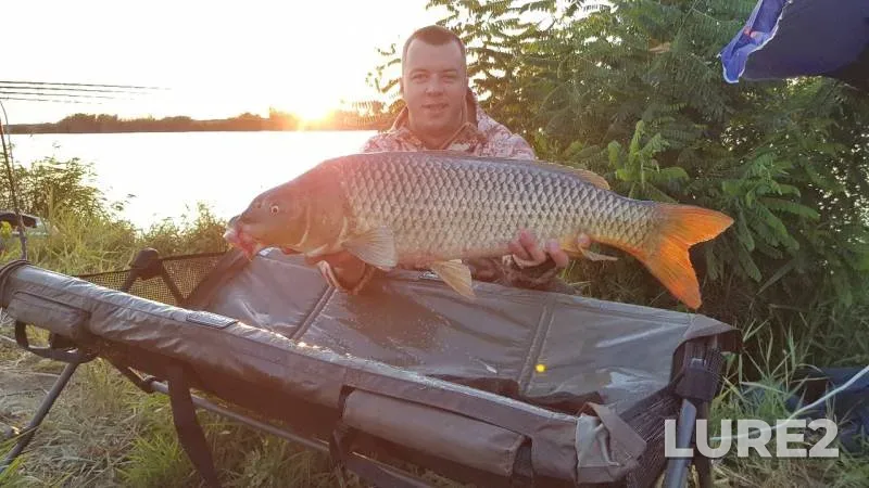 Карп