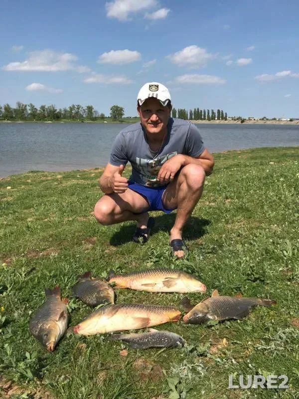 Карп