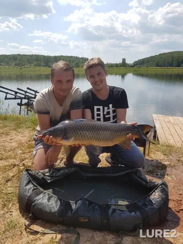 Карп