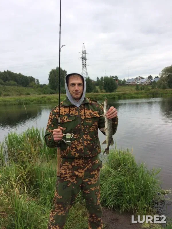 Щука