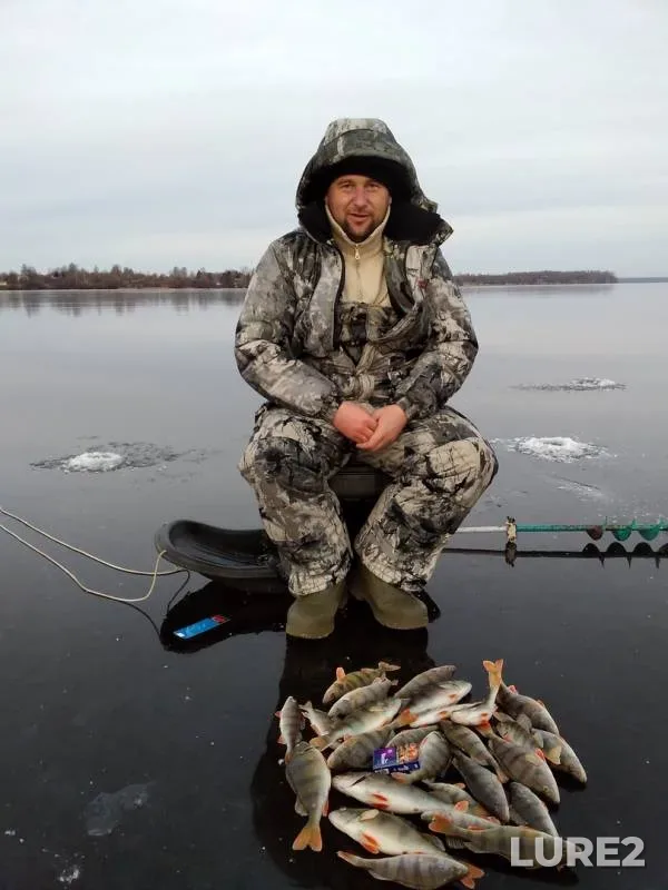 Окунь