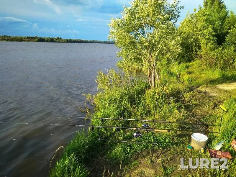 Лещ