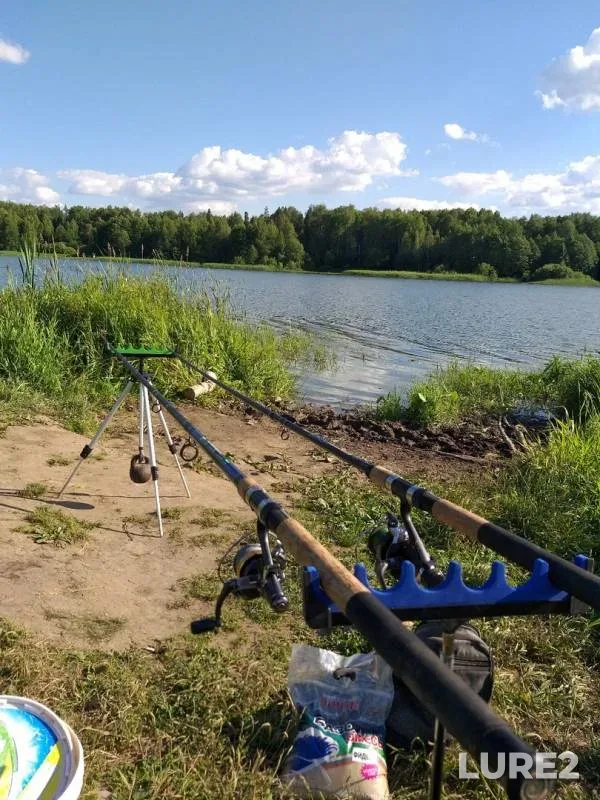 Карась