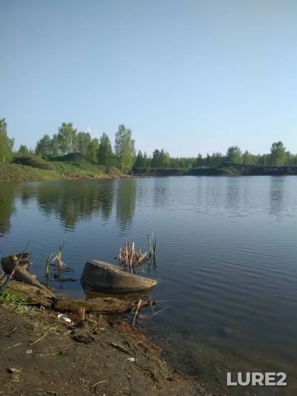Карп