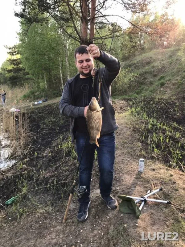 Карась