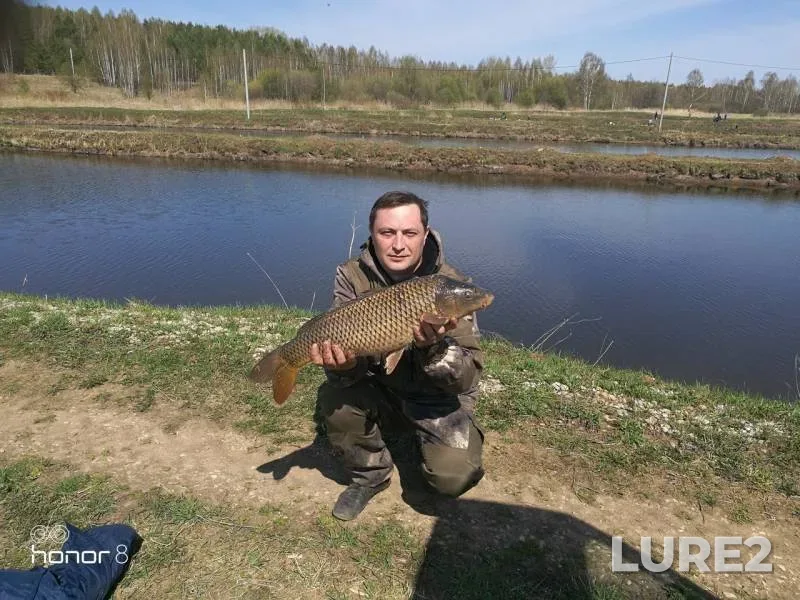 Карп