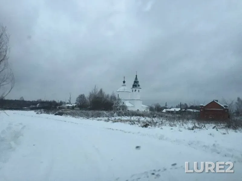 Окунь, Плотва