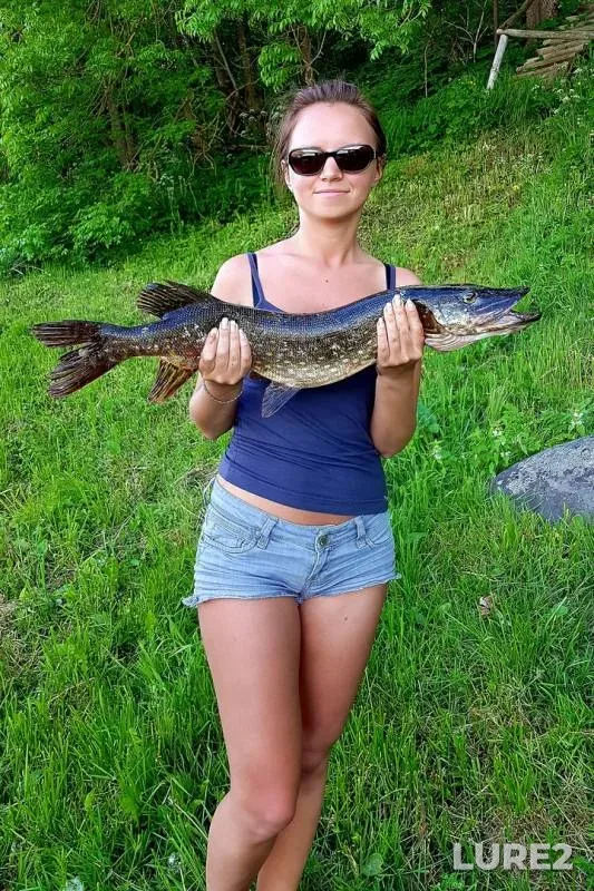 Щука