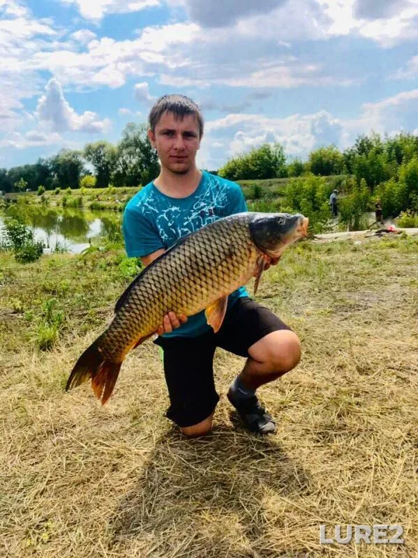Карп