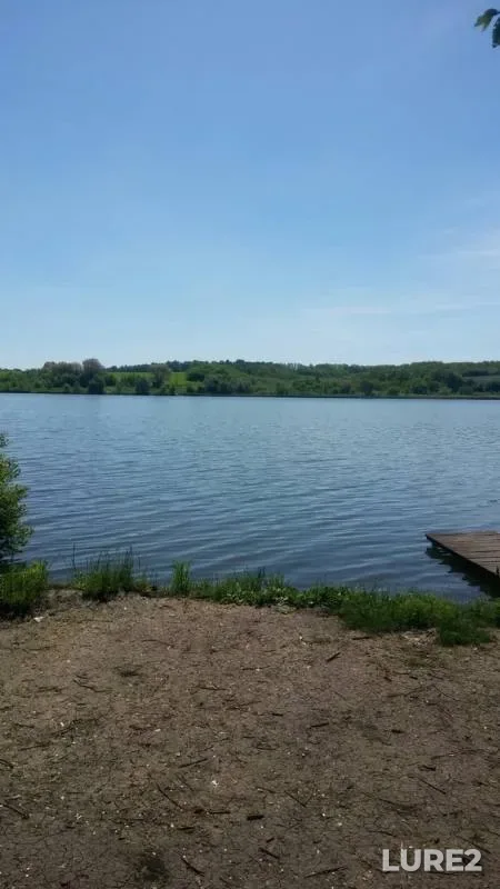 Карп