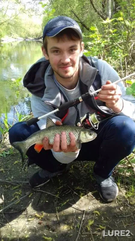 Голавль