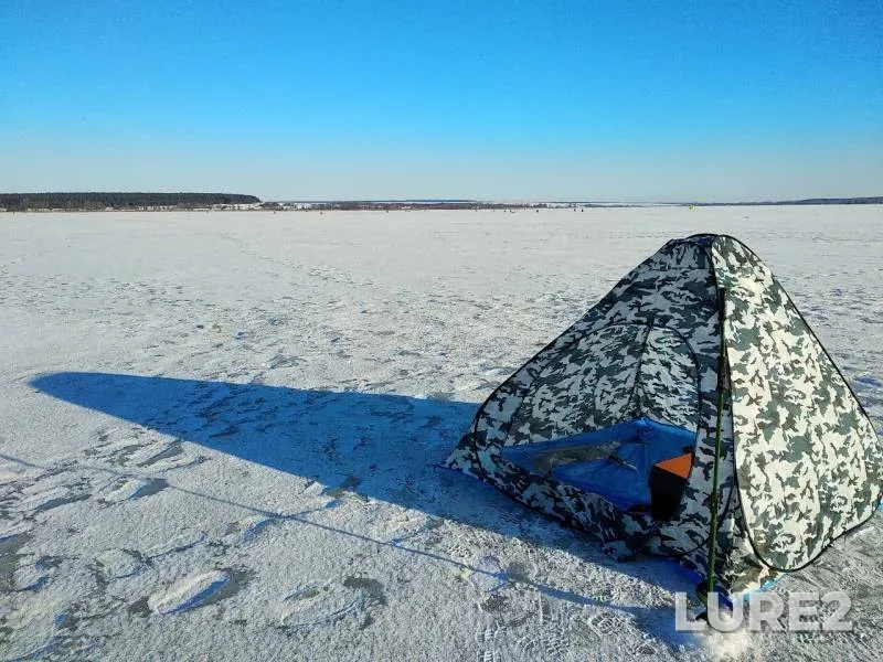 Окунь