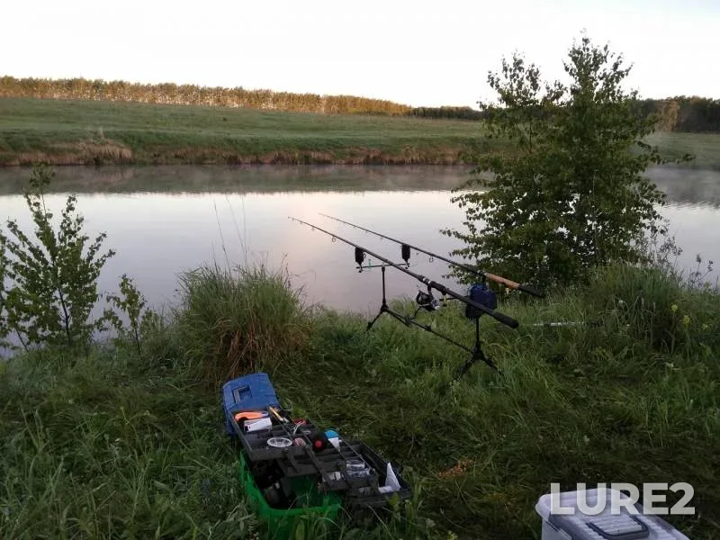 Карась