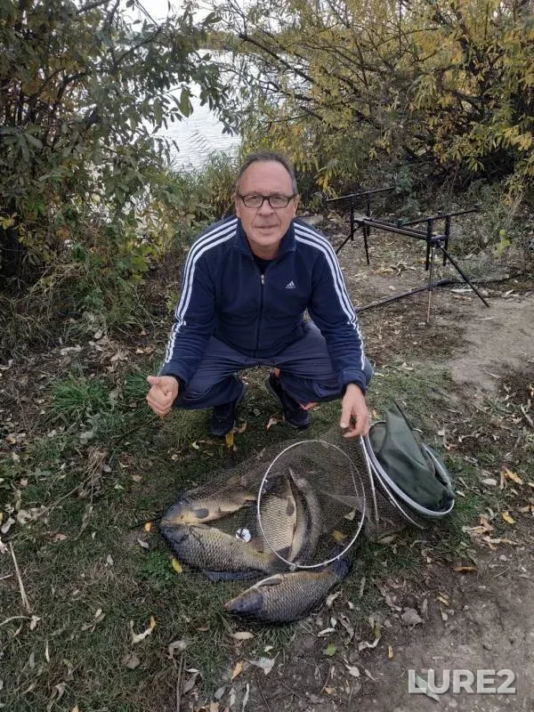 Карп — Самарская область, 15 окт. 2018 г.