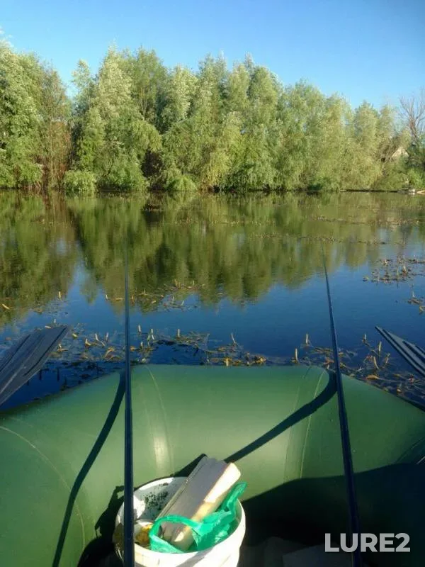 Карась