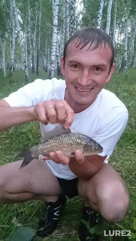 Карась