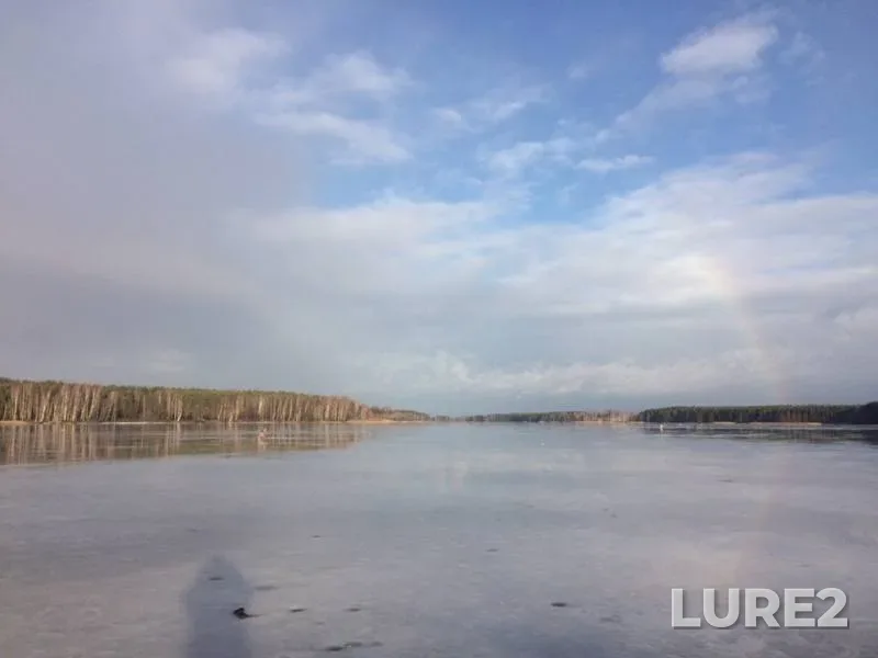 Окунь, Плотва