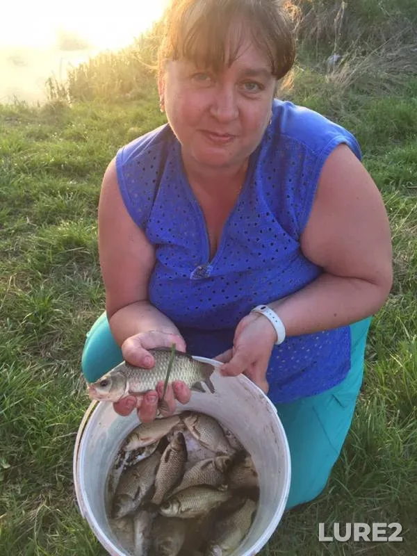 Карась