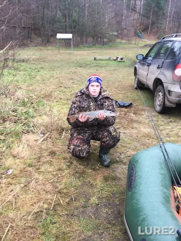 Щука