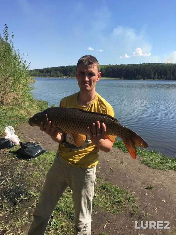 Карп
