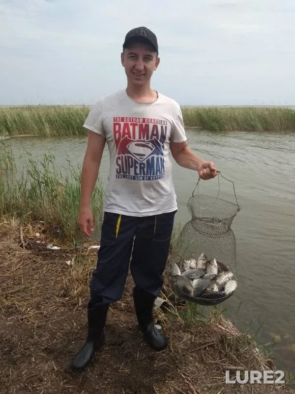 Карась
