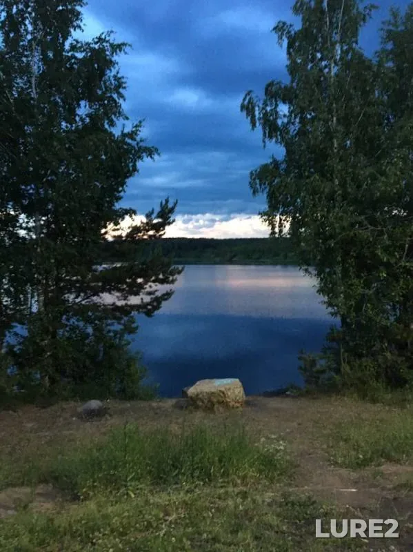 Лещ, Карась