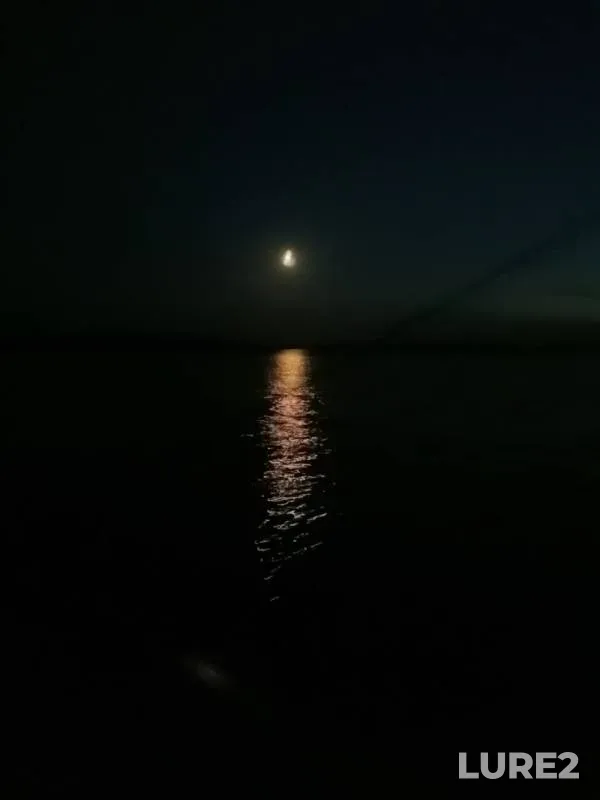Судак — Нещерда, 09 июн. 2019 г.