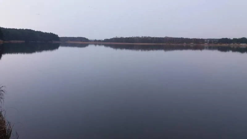 Лещ