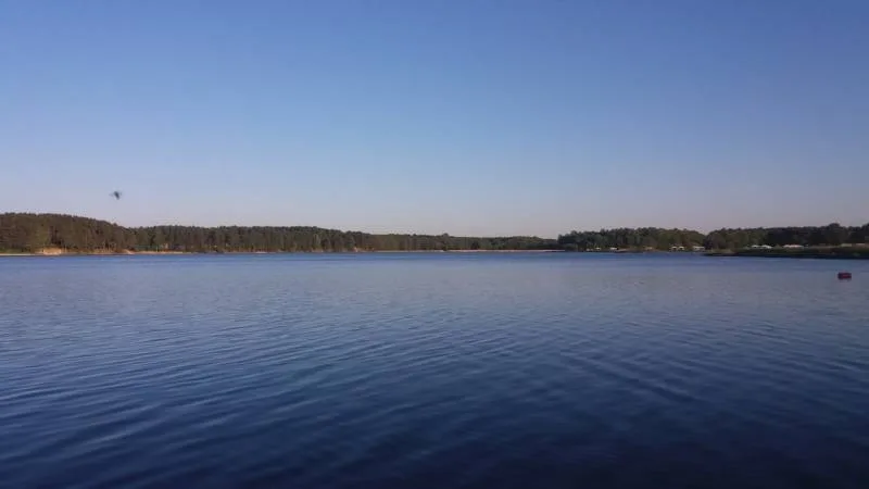 Лещ