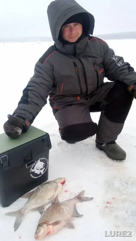 Лещ