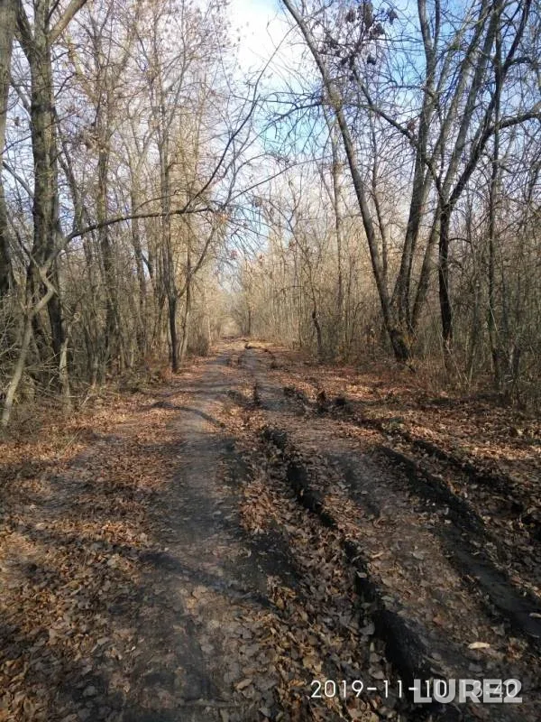 Окунь