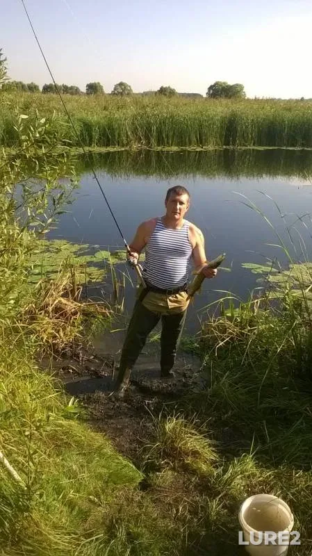 Щука