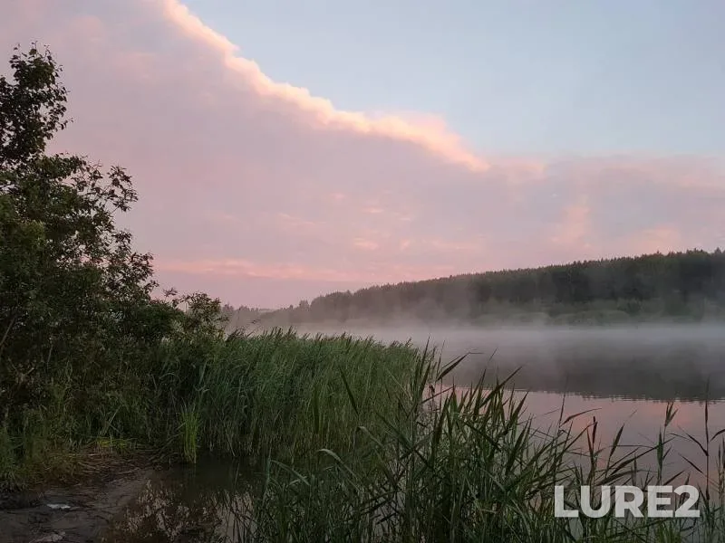 Карась