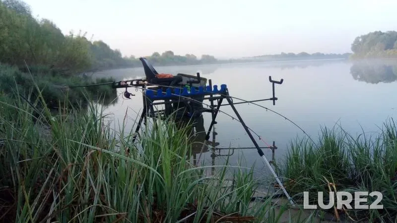 Лещ, Окунь