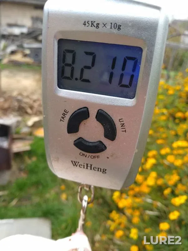 Судак — Пина, 24 окт. 2019 г.