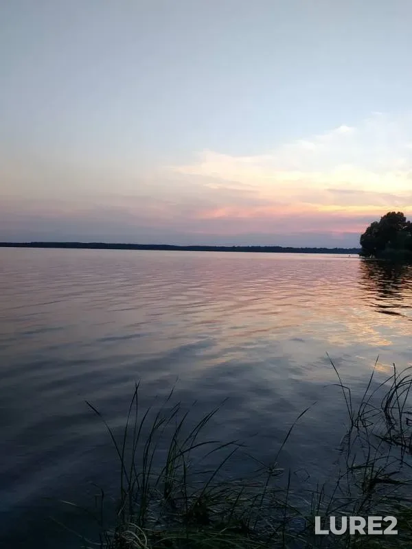 Окунь